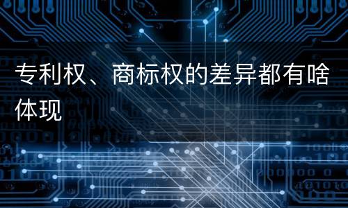 专利权、商标权的差异都有啥体现