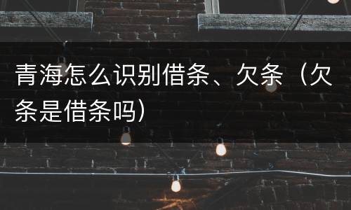 青海怎么识别借条、欠条（欠条是借条吗）