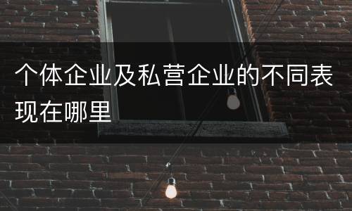 个体企业及私营企业的不同表现在哪里