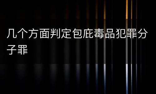 几个方面判定包庇毒品犯罪分子罪