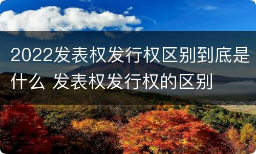 2022发表权发行权区别到底是什么 发表权发行权的区别