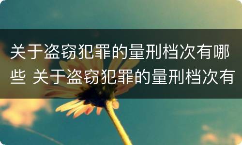 关于盗窃犯罪的量刑档次有哪些 关于盗窃犯罪的量刑档次有哪些规定