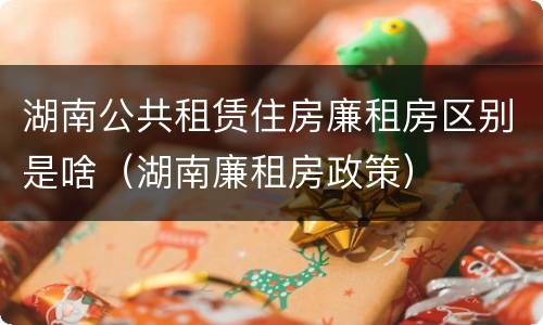 湖南公共租赁住房廉租房区别是啥（湖南廉租房政策）