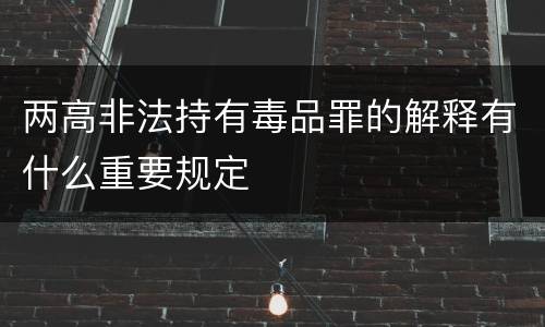 两高非法持有毒品罪的解释有什么重要规定
