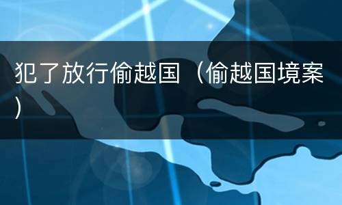 犯了放行偷越国（偷越国境案）