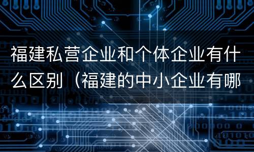 福建私营企业和个体企业有什么区别（福建的中小企业有哪些）