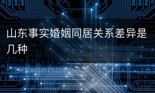 山东事实婚姻同居关系差异是几种