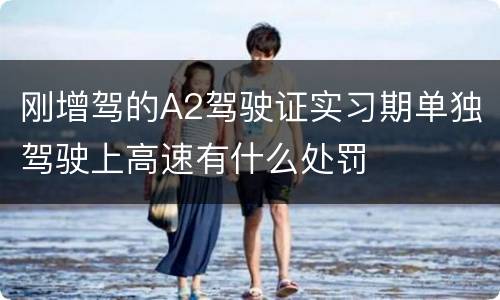 刚增驾的A2驾驶证实习期单独驾驶上高速有什么处罚