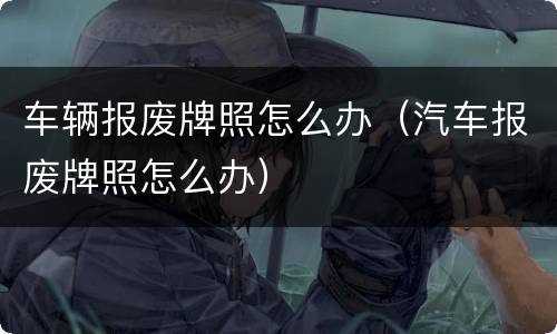 车辆报废牌照怎么办（汽车报废牌照怎么办）