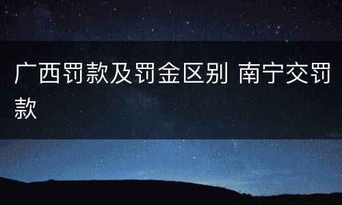 广西罚款及罚金区别 南宁交罚款