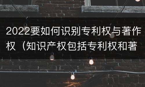 2022要如何识别专利权与著作权（知识产权包括专利权和著作权吗）