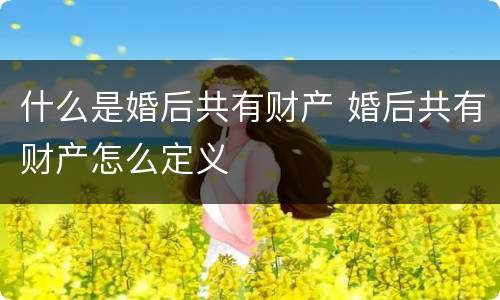 什么是婚后共有财产 婚后共有财产怎么定义
