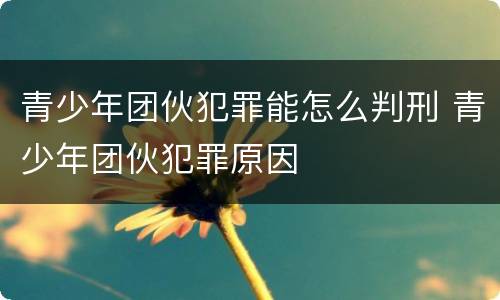 青少年团伙犯罪能怎么判刑 青少年团伙犯罪原因