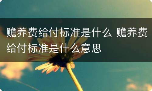 赡养费给付标准是什么 赡养费给付标准是什么意思