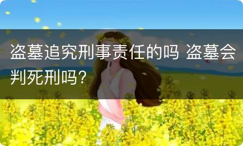 盗墓追究刑事责任的吗 盗墓会判死刑吗?