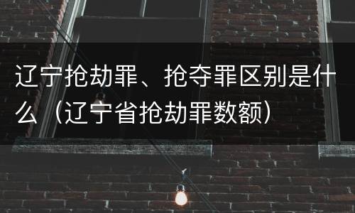 辽宁抢劫罪、抢夺罪区别是什么（辽宁省抢劫罪数额）