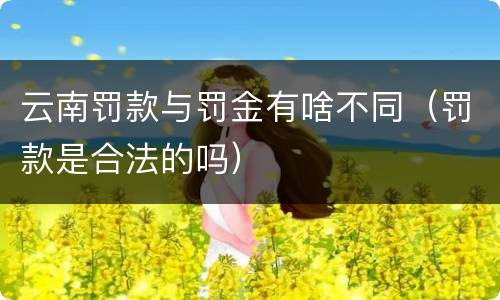 云南罚款与罚金有啥不同（罚款是合法的吗）
