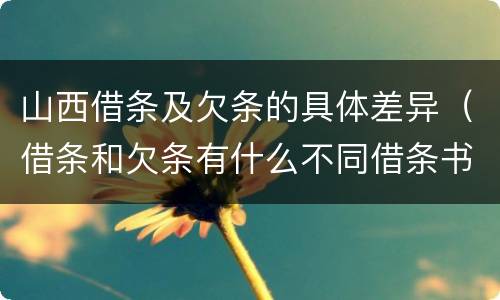 山西借条及欠条的具体差异（借条和欠条有什么不同借条书写）