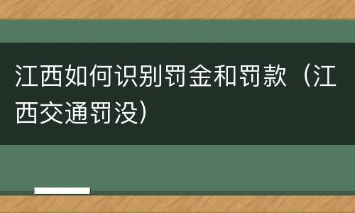江西如何识别罚金和罚款（江西交通罚没）