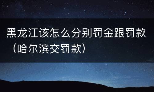 黑龙江该怎么分别罚金跟罚款（哈尔滨交罚款）