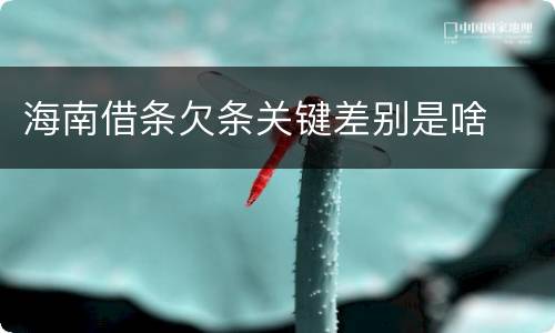 海南借条欠条关键差别是啥