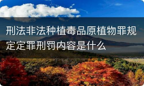 刑法非法种植毒品原植物罪规定定罪刑罚内容是什么