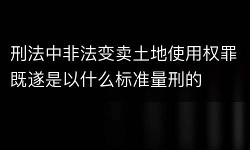 刑法中非法变卖土地使用权罪既遂是以什么标准量刑的