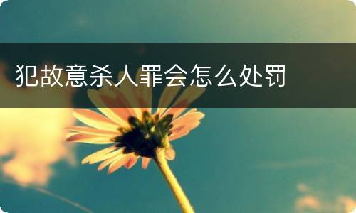 犯故意杀人罪会怎么处罚