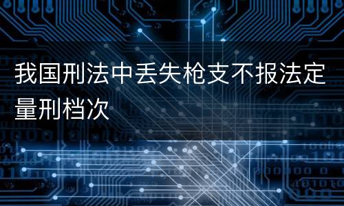 我国刑法中丢失枪支不报法定量刑档次