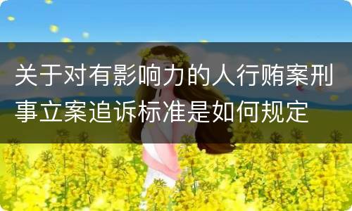 关于对有影响力的人行贿案刑事立案追诉标准是如何规定