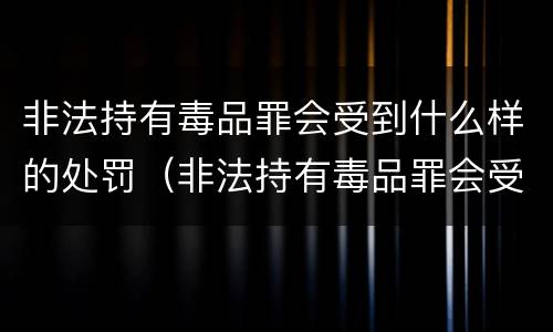 非法持有毒品罪会受到什么样的处罚（非法持有毒品罪会受到什么样的处罚呢）