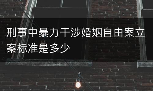 刑事中暴力干涉婚姻自由案立案标准是多少