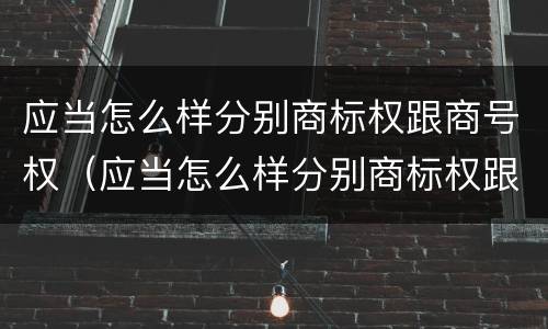 应当怎么样分别商标权跟商号权（应当怎么样分别商标权跟商号权和商品权）