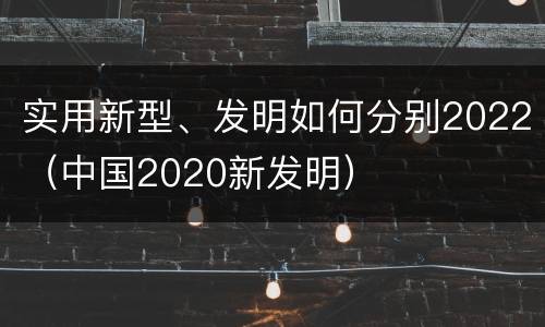 实用新型、发明如何分别2022（中国2020新发明）