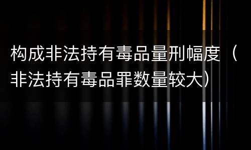 构成非法持有毒品量刑幅度（非法持有毒品罪数量较大）