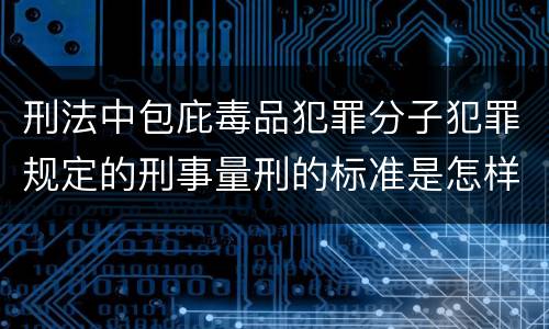 刑法中包庇毒品犯罪分子犯罪规定的刑事量刑的标准是怎样的