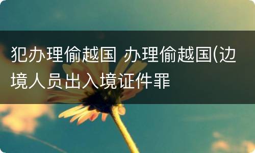 犯办理偷越国 办理偷越国(边境人员出入境证件罪