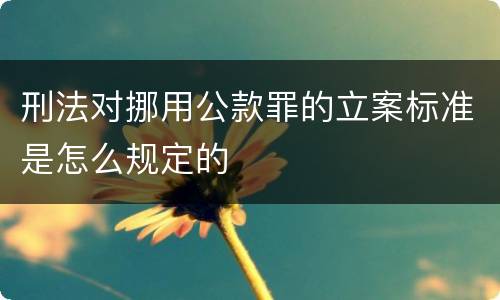 刑法对挪用公款罪的立案标准是怎么规定的