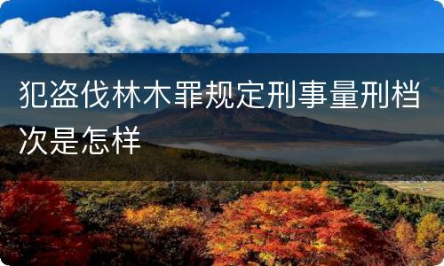 犯盗伐林木罪规定刑事量刑档次是怎样