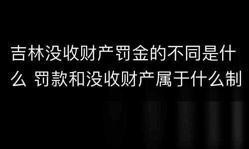 吉林没收财产罚金的不同是什么 罚款和没收财产属于什么制裁