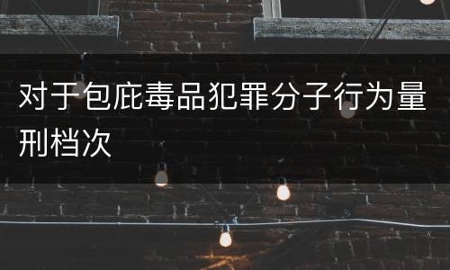 对于包庇毒品犯罪分子行为量刑档次