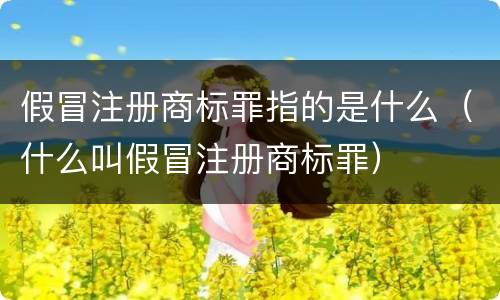 假冒注册商标罪指的是什么（什么叫假冒注册商标罪）