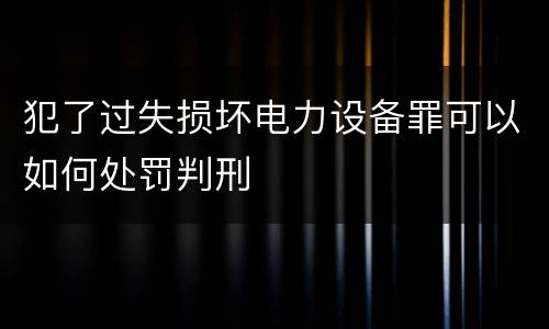 犯了过失损坏电力设备罪可以如何处罚判刑