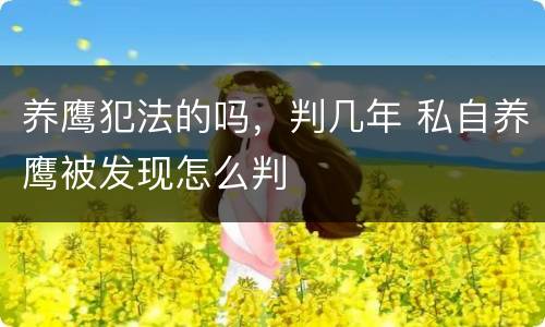 养鹰犯法的吗，判几年 私自养鹰被发现怎么判