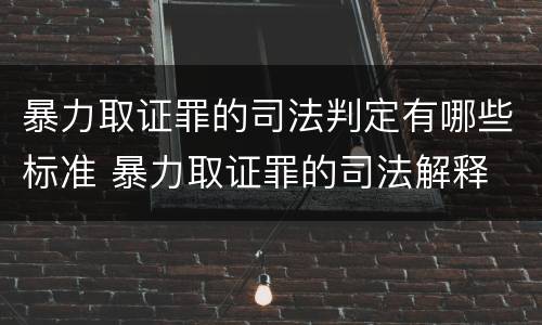 暴力取证罪的司法判定有哪些标准 暴力取证罪的司法解释