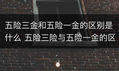 五险三金和五险一金的区别是什么 五险三险与五险一金的区别