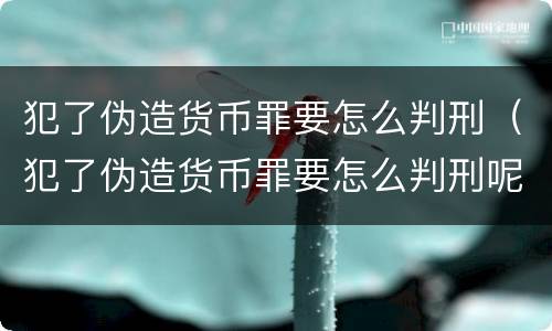 犯了伪造货币罪要怎么判刑（犯了伪造货币罪要怎么判刑呢）