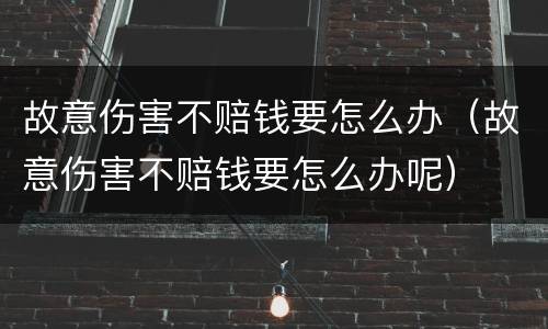 故意伤害不赔钱要怎么办（故意伤害不赔钱要怎么办呢）
