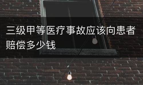三级甲等医疗事故应该向患者赔偿多少钱