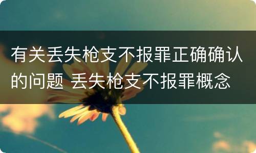 有关丢失枪支不报罪正确确认的问题 丢失枪支不报罪概念